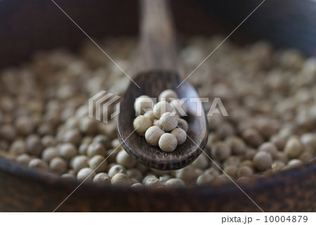 ホワイトペッパーホール ホワイトペッパーホール 10004879