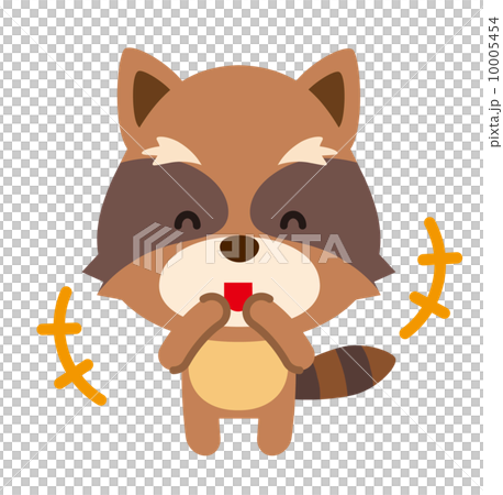 raccoon raccoon 10005454