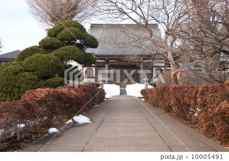 三鷹　龍源寺 10005491