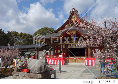 岩津天神と梅 岩津天神と梅 10005517