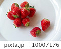 イチゴ 10007176