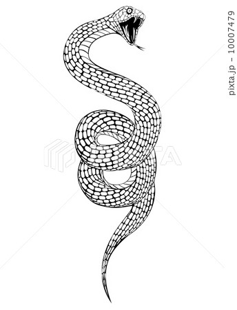 snake 2 10007479