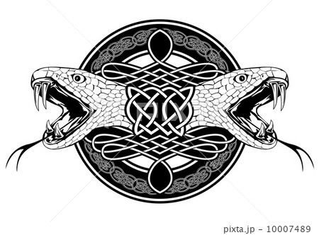 snake and Celtic patterns snake and Celtic patterns 10007489