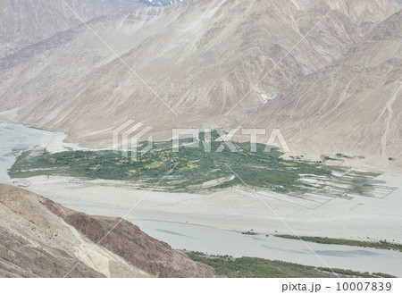 ヌブラ渓谷、ラダック ヌブラ渓谷、ラダック 10007839
