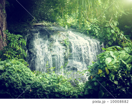 waterfall in jungles of Seychelles, Mahe island 10008682