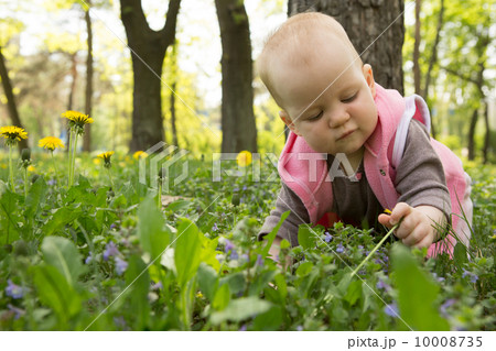 Little baby playing in the park on the grass on a sunny day 10008735