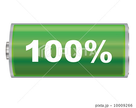 電池 10009266