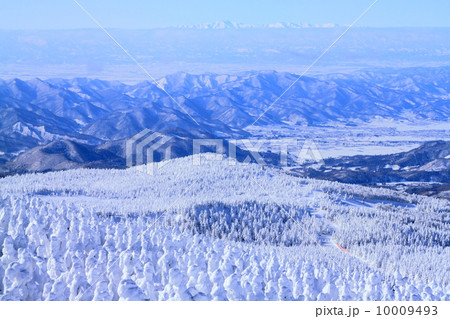 蔵王の樹氷 10009493