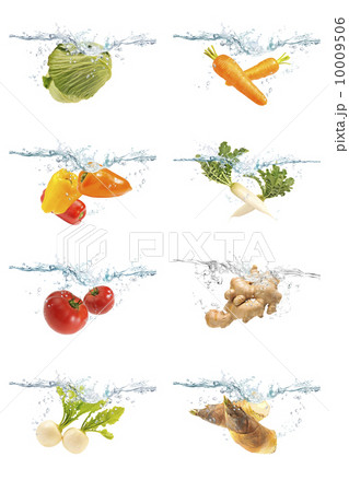 水中の野菜 10009506