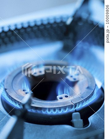 ガス 10009806