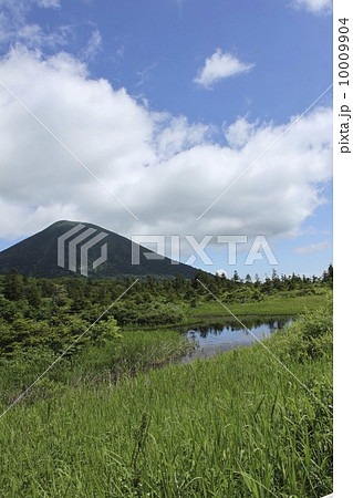 睡蓮沼（すいれんぬま） 10009904