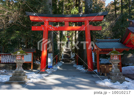 箱根神社第四鳥居 箱根神社第四鳥居 10010217