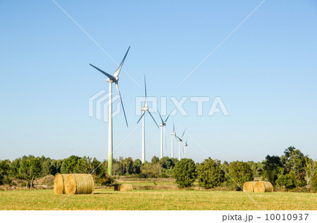 Windmills farm Windmills farm 10010937