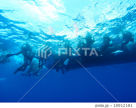 スキューバダイビング 10012181