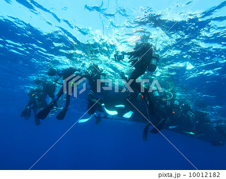 スキューバダイビング 10012182