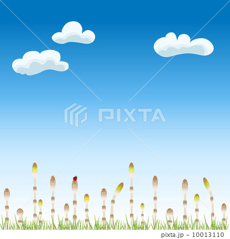 つくしと青空 10013110