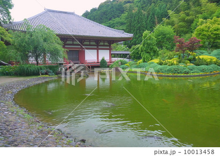 花の寺　久安寺 10013458