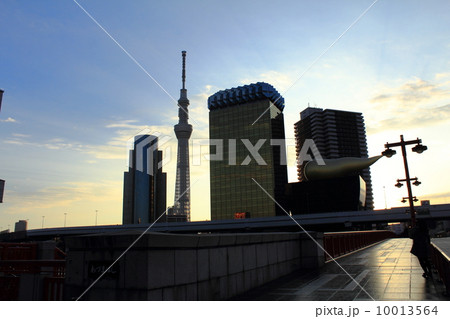 スカイツリー アサヒビール本社 吾妻橋ホール 目黒区役所 風景 朝日 スカイツリー アサヒビール本社 吾妻橋ホール 目黒区役所 風景 朝日 10013564