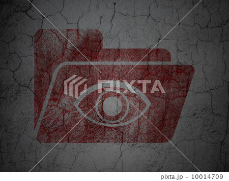 Business concept: Folder With Eye on grunge wall background Business concept: Folder With Eye on grunge wall background 10014709