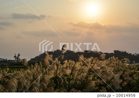 Okinawa morning Okinawa morning 10014956
