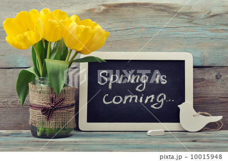 Spring is coming 10015948