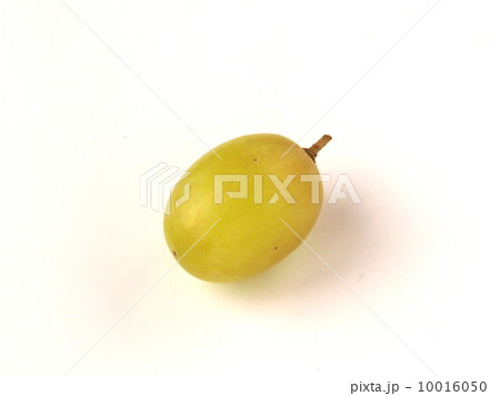 種なしブドウ グリーン 白バック 種なしブドウ グリーン 白バック 10016050