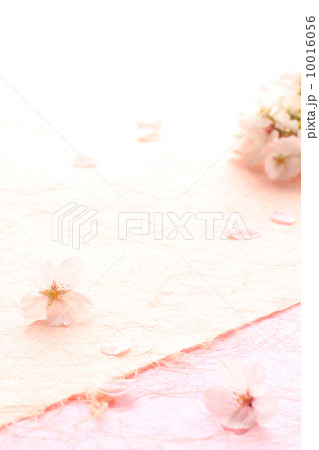 桜・背景 10016056