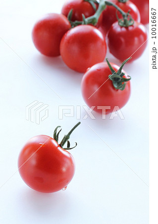 ミニトマト縦 ミニトマト縦 10016667