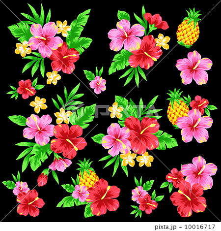 ハイビスカスのイラスト 10016717