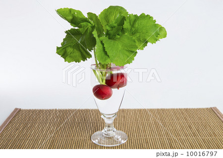 ラディッシュ 10016797