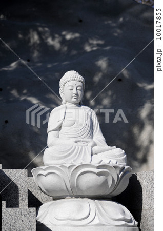 釈迦座像 10017855