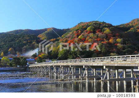 嵐山の紅葉と渡月橋 嵐山の紅葉と渡月橋 10018593
