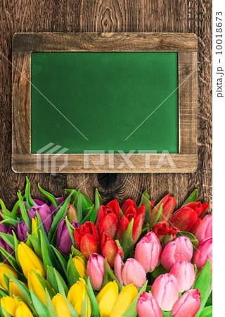 blackboard with colorful tulip flowers 10018673
