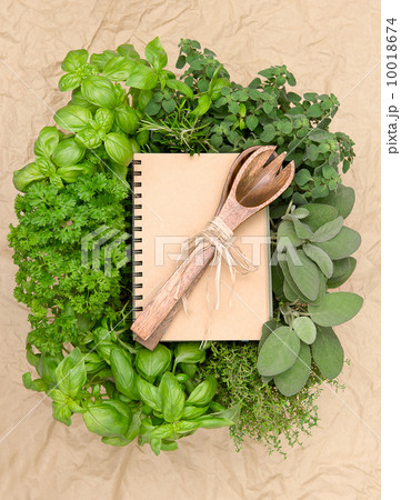recipe book with variety fresh herbs and decoration 10018674