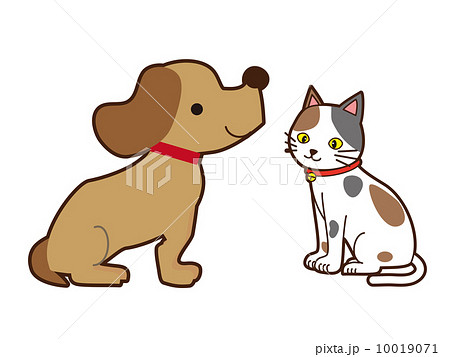 犬と猫のイラスト素材
