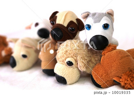 子犬のぬいぐるみ 子犬のぬいぐるみ 10019335
