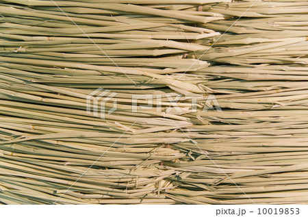 しめ縄の一部のアップ 10019853