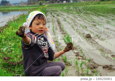 子供の田植え風景 10020061