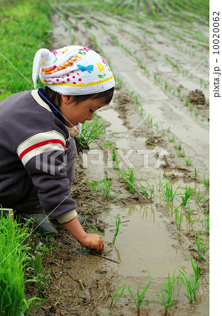 子供の田植え風景 10020062