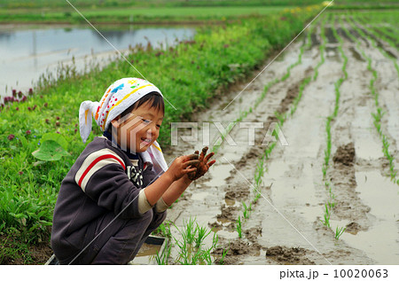 子供の田植え風景 子供の田植え風景 10020063