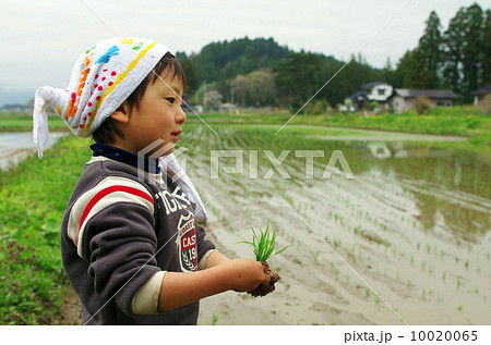 子供の田植え風景 10020065