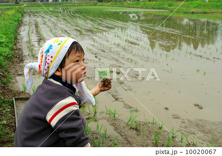 子供の田植え風景 10020067