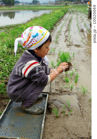 子供の田植え風景 10020069