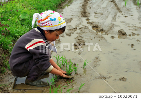 子供の田植え風景 10020071