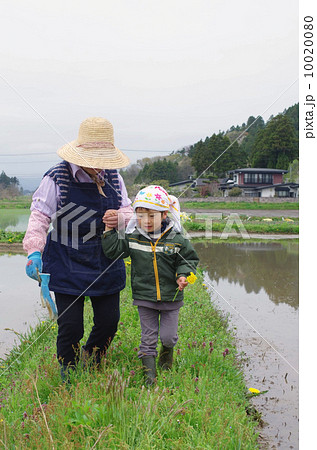 畦道を歩く祖母と孫 10020080
