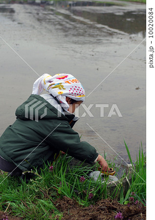農業用水の蛇口を開ける子供 10020084