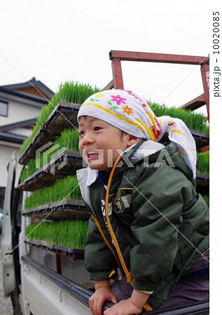 軽トラックに乗せた育苗箱（育成した苗）と子供 10020085