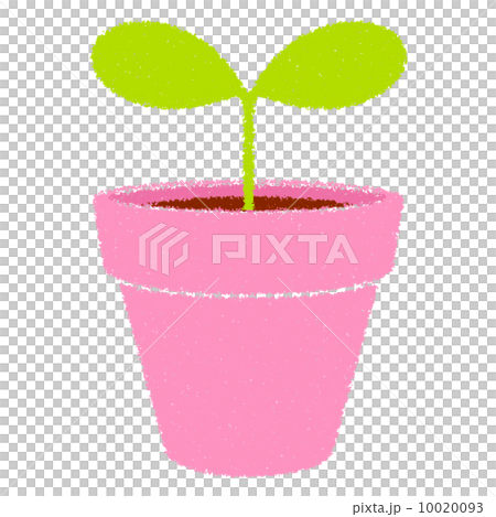 クレヨンタッチのイラスト 双葉と植木鉢 ピンクのイラスト素材 10020093 Pixta