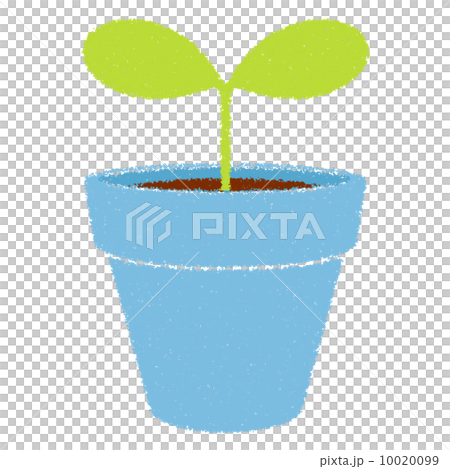 Illustration of crayon touch Futaba and flowerpot light blue Illustration of crayon touch Futaba and flowerpot light blue 10020099