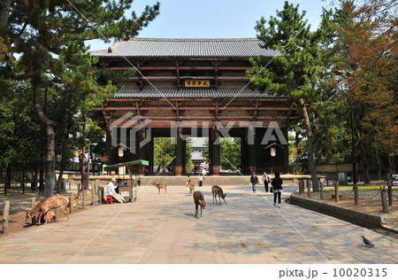 奈良　東大寺の南大門 10020315